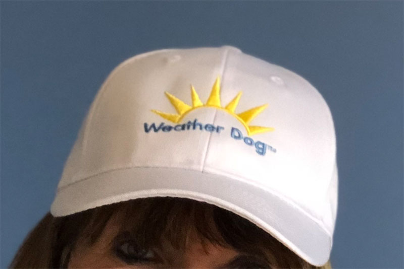 Weather Dog Hat - Alt